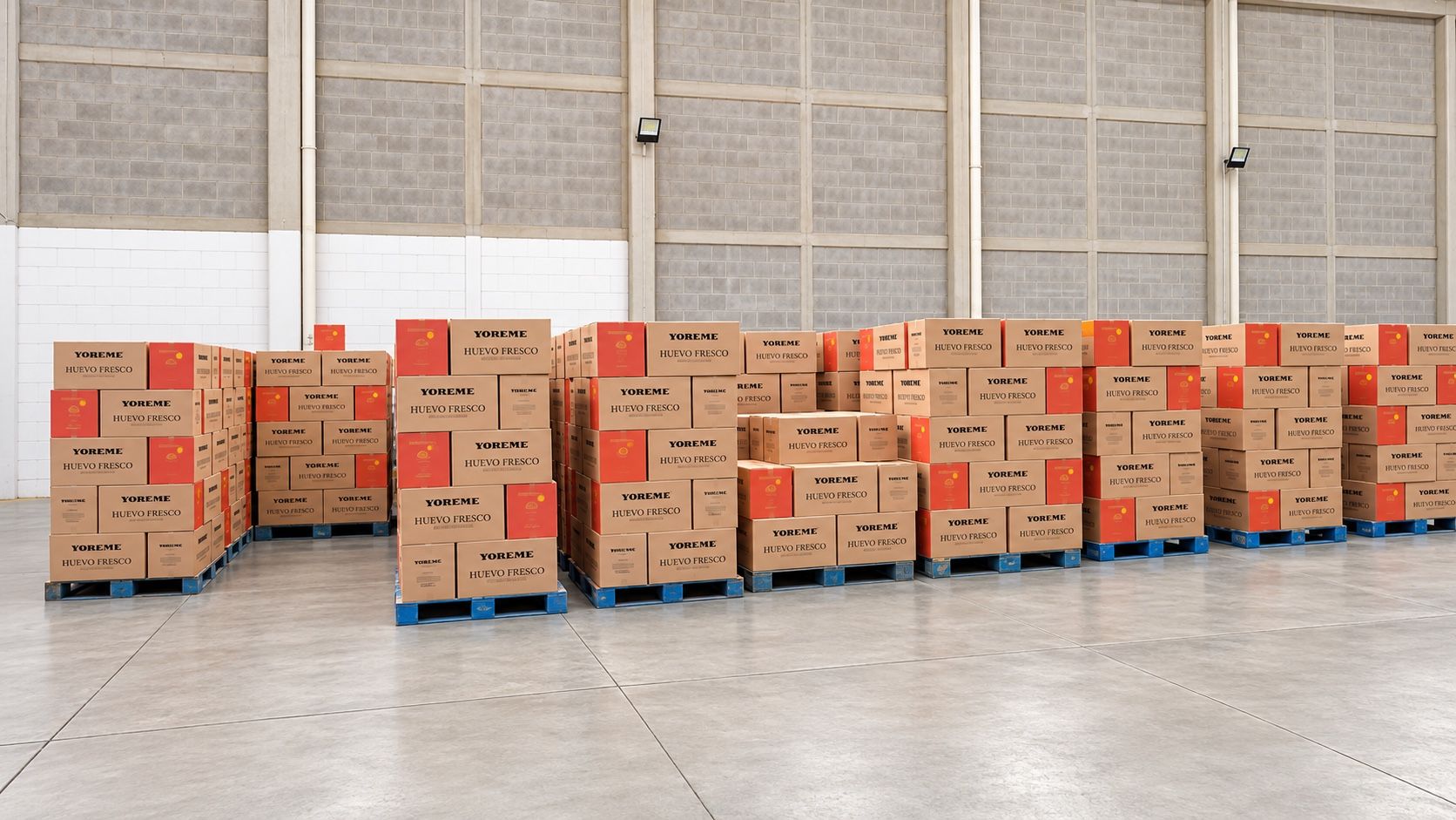 Tarimas de cajas de huevo listas para embarque