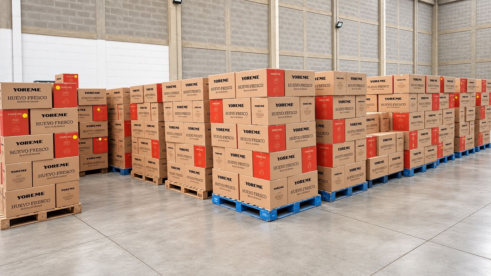 Centro de distribución con tarimas de cajas de huevo